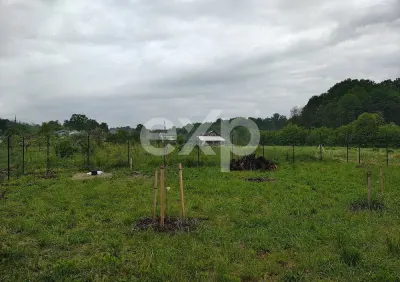 Teren intravilan de vânzare – Valea lui Enache, Baiculești, Argeș | 500 mp