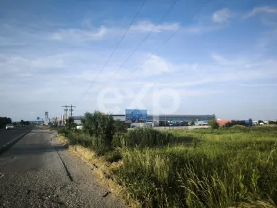 Teren intravilan 11.600 mp | Front 115 ml | Zona Europa – Albota lângă Mercedes