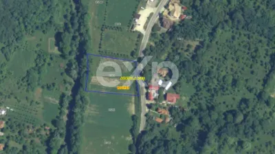Teren intravilan la tara in Arges - 3.565 mp in comuna Boteni