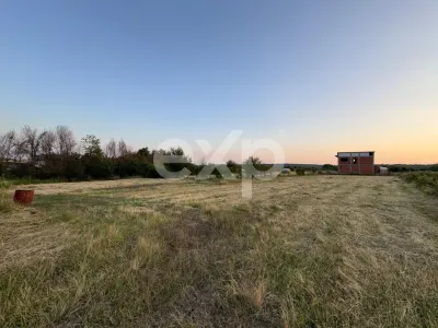 Teren 1650 mp intravilan Trivale - Olteni – cadru natural langa Padure