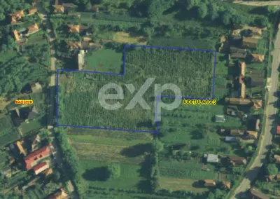Teren la tara intravilan Bajesti, Balilesti, Arges | 9.464 mp | 7 euro/mp