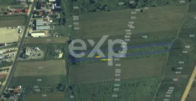 Teren 10.000 mp de vânzare – Zona OMW - Albota - 8 / Euro mp