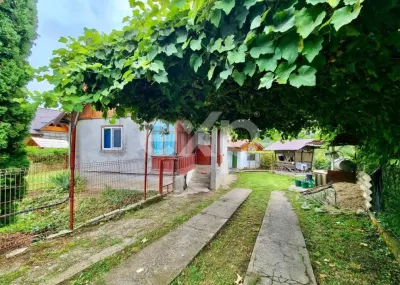 Casă de vânzare în Nucșoara – Sboghițești, teren 2400 mp