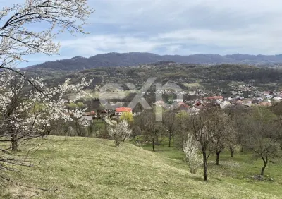 Oportunitate investiție în Corbi, Argeș | 22.000 mp teren în zonă de poveste